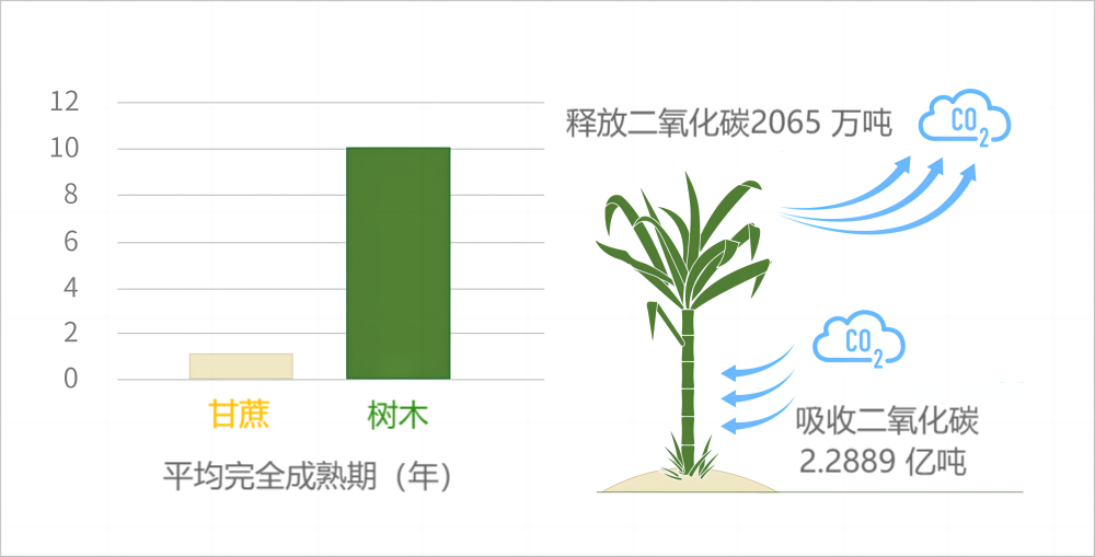 描述