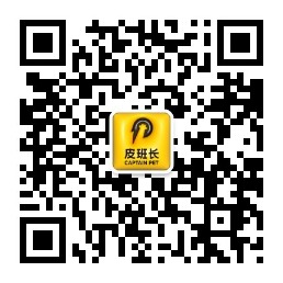 服务号公众号二维码