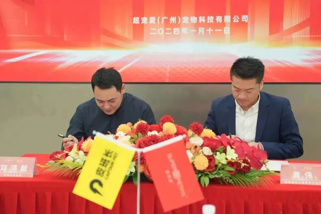 图片9