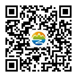 描述