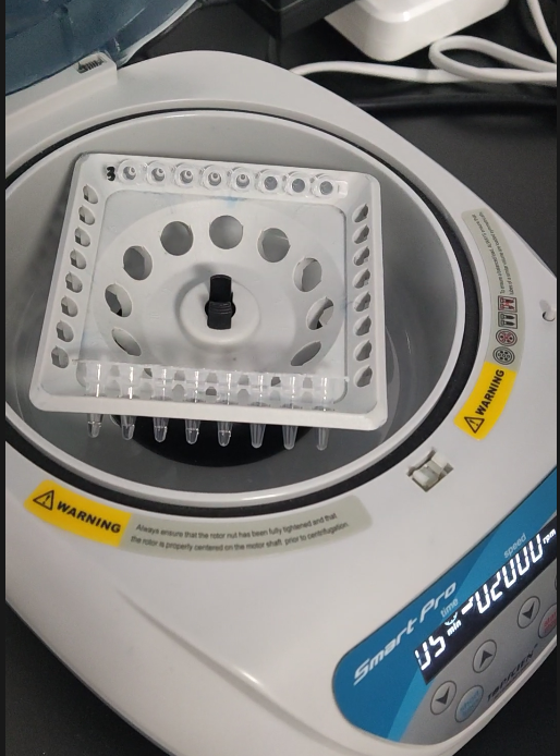 PCR、RT-PCR