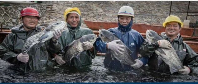 好山好水出嘉品，健康养生温峡鱼|钟祥市温峡生态渔业有限公司