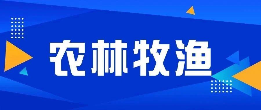 农林牧渔介绍