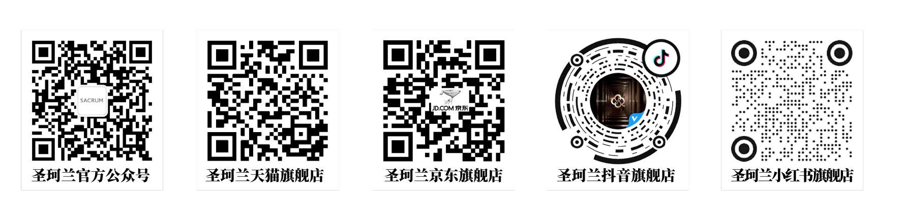描述