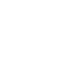描述