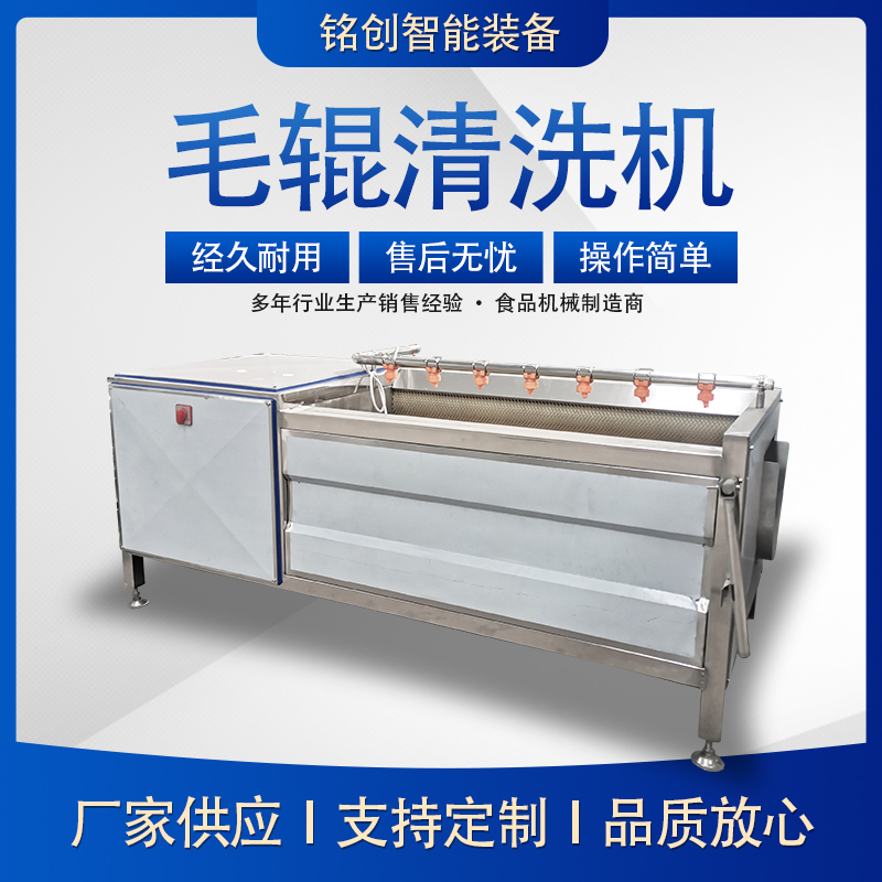 毛輥去皮清洗機(jī)