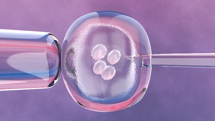 Fulfilling Family Dreams with Science
For couples facing infertility, we provide full-cycle services from artificial insemination to IVF, helping you achieve your dream of starting a family.