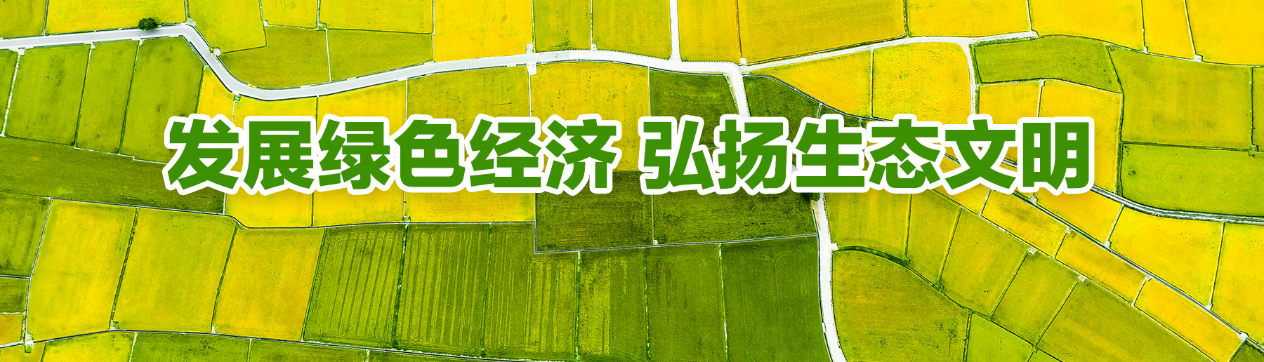 川瑞达网站01