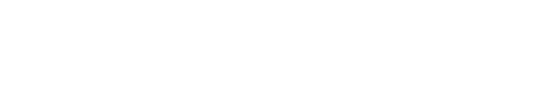 描述