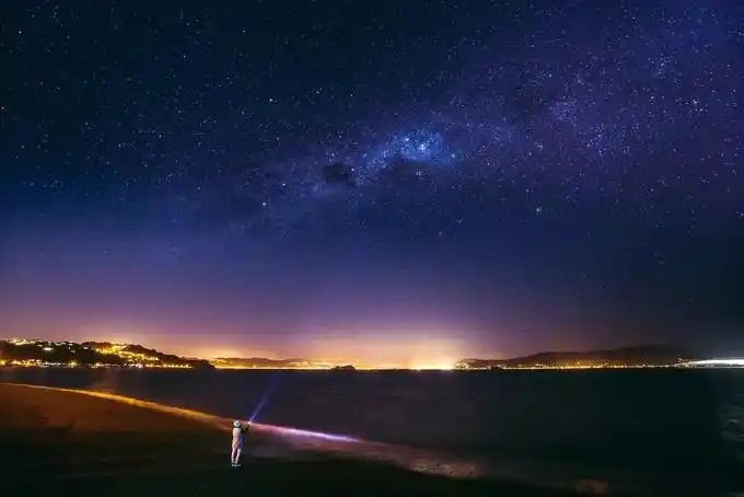 暗夜湿地