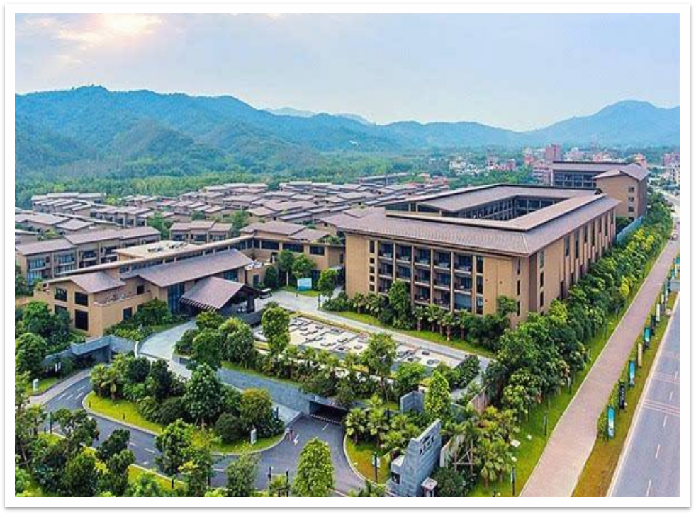 图片5