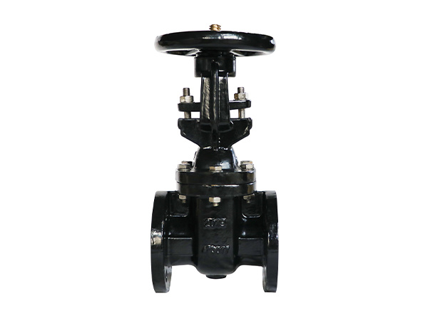 GV-04