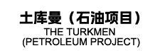 土库曼（石油项目）