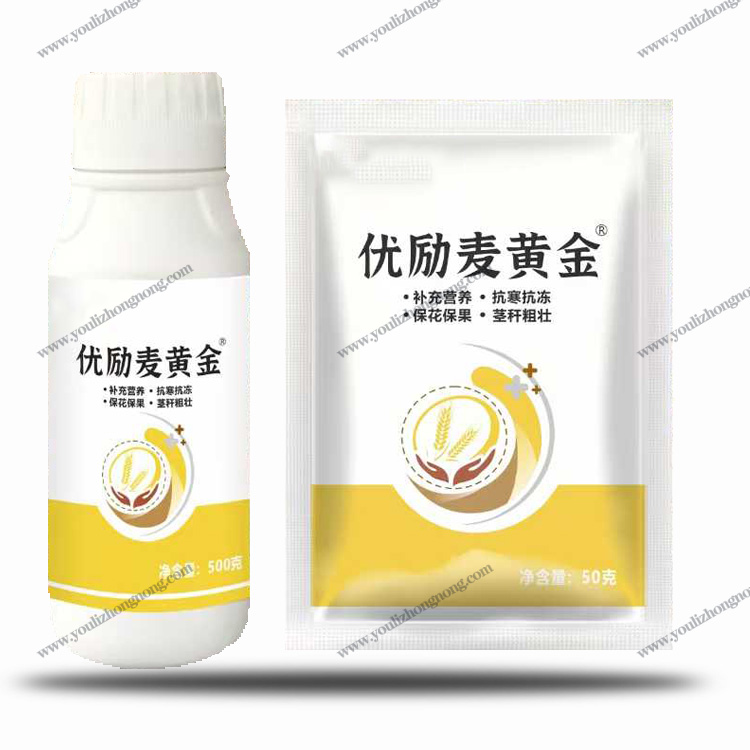 麦黄金