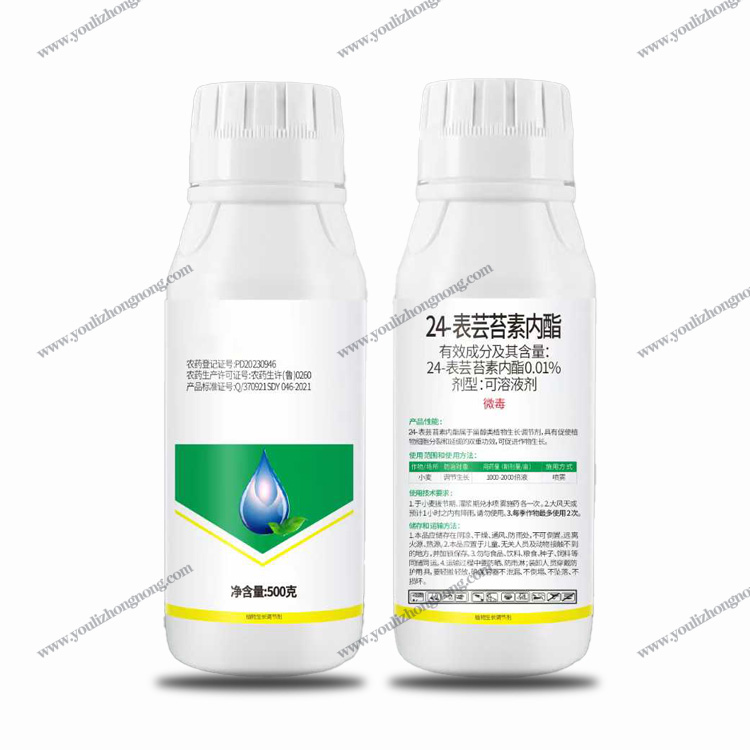24表-芸苔素内脂