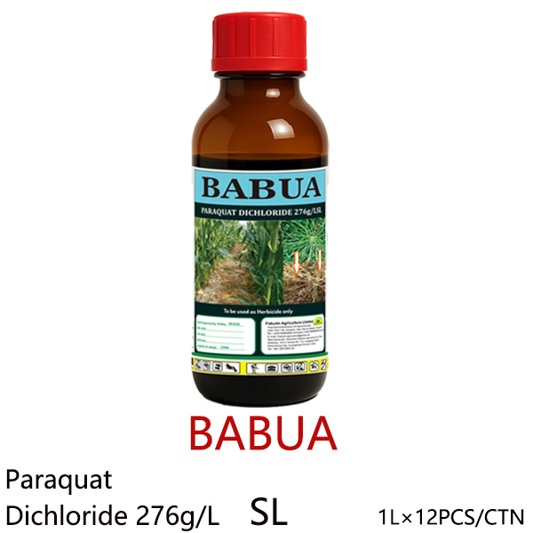 BABUA