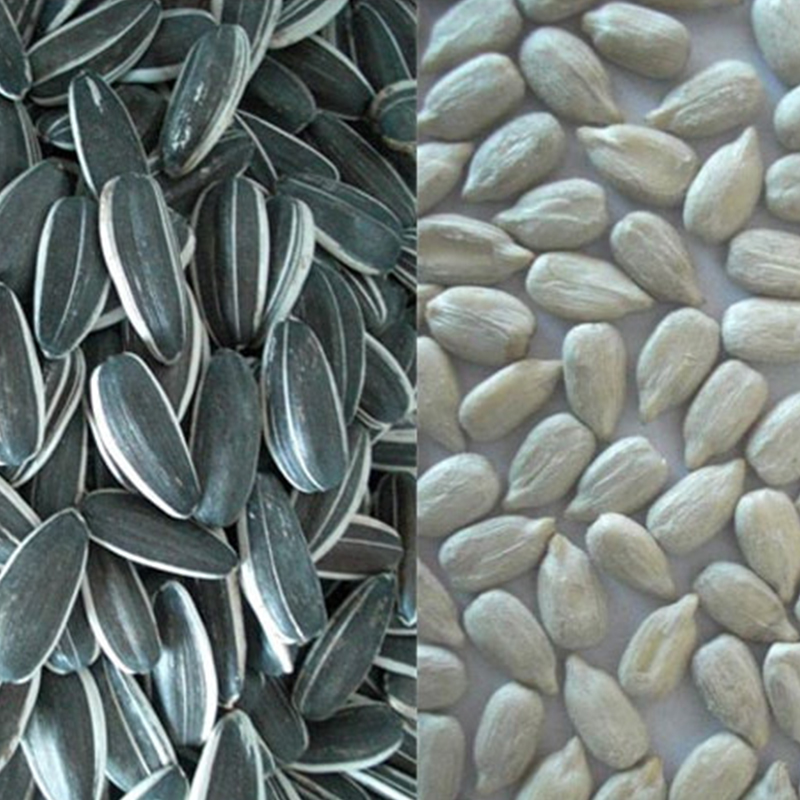 Sunflower Kernels