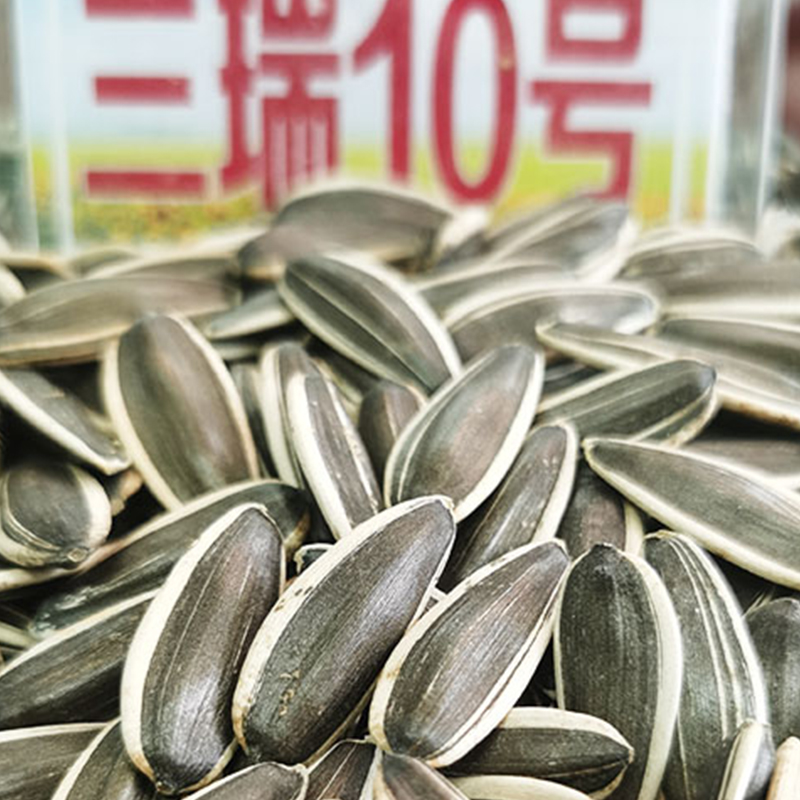 Sanrui No.10 Sunflower Seeds