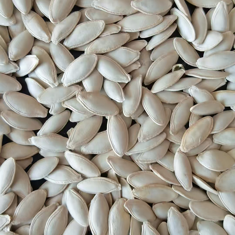 Pumpkin Seeds