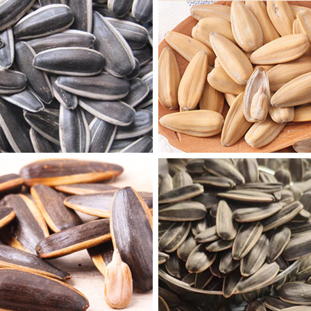 Flavor Melon Seeds