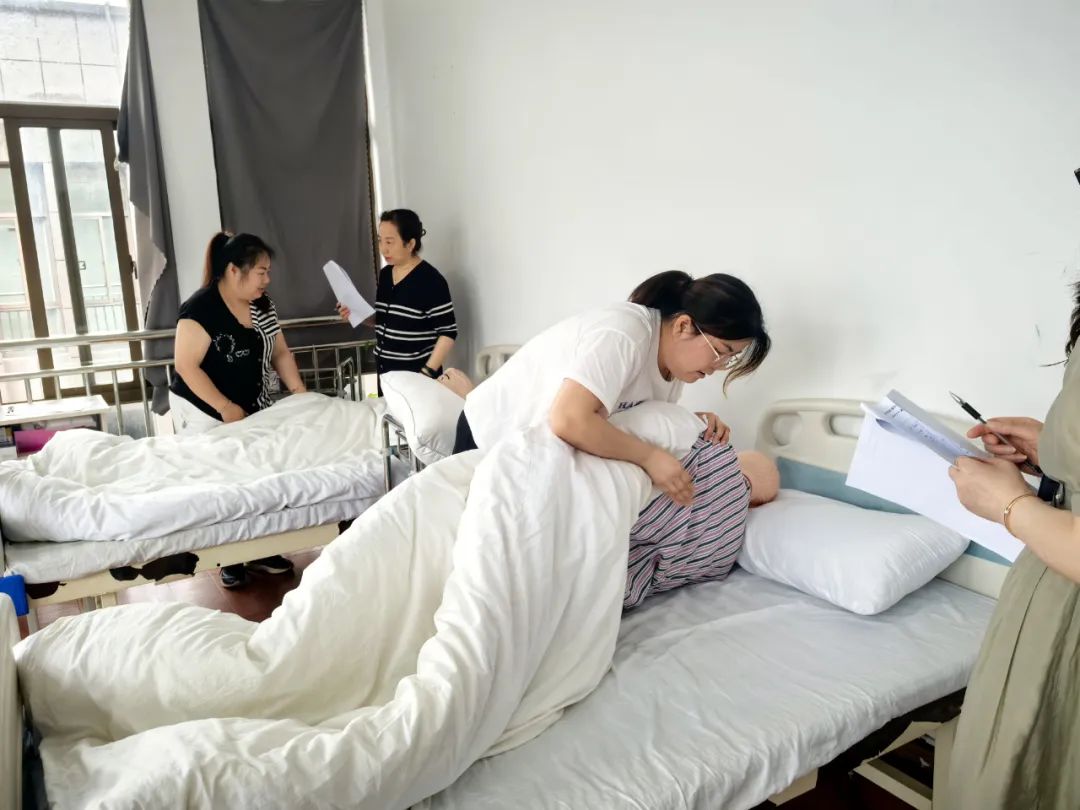 培训与指导