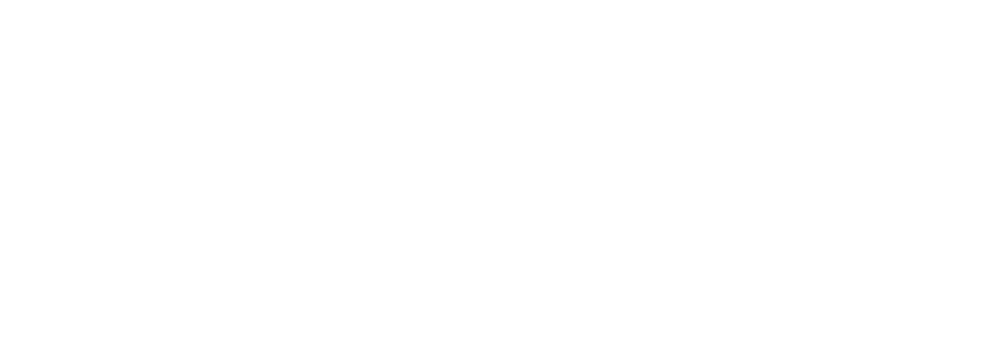 描述
