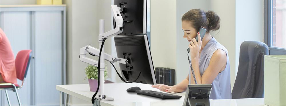 Ergotron,Mounts,Arms supplier