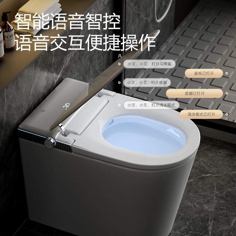 500 智能马桶