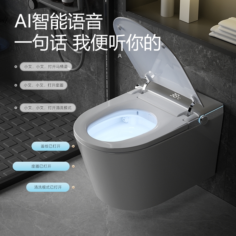 606 挂壁墙排式智能马桶
