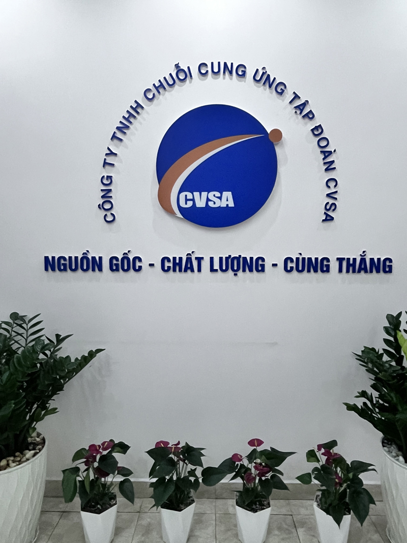 CVSA GROUP LTD 正式成立，布局东南亚市场，开启全球化新篇章