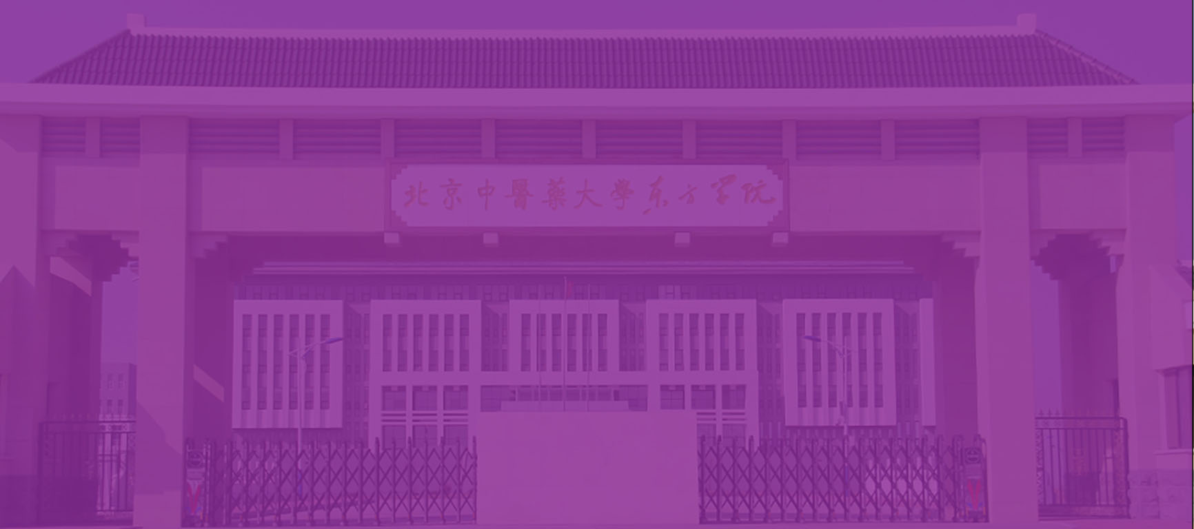 描述
