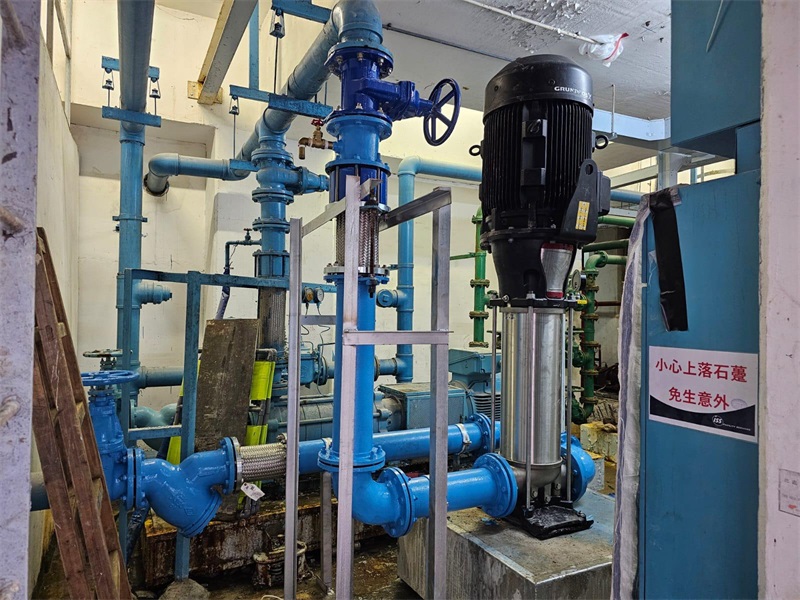 WhatsApp Image 2025-10-27 at 16.25.43