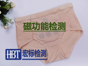 磁功能检测