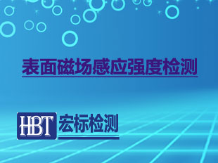 表面磁场感应强度检测