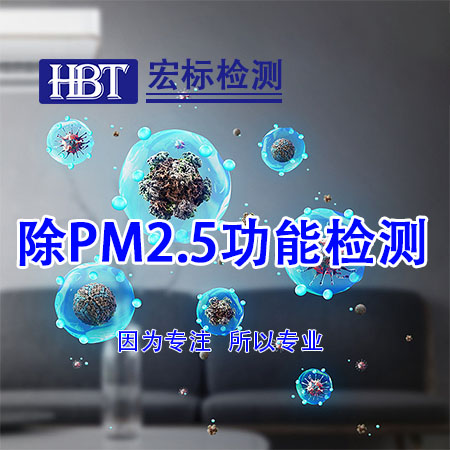 除PM2.5功能检测