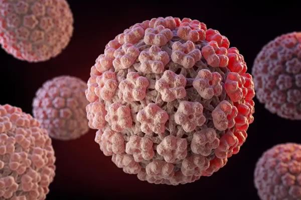 HPV