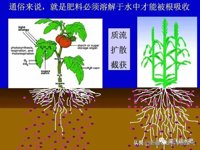 微信图片_20220303143917