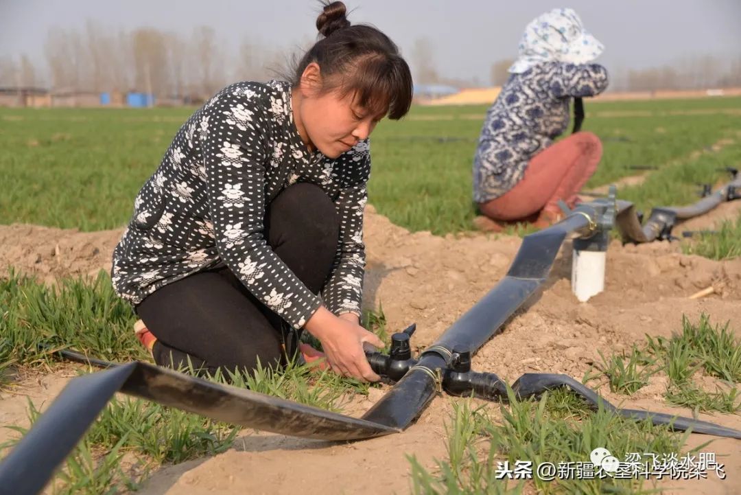微信图片_20220303143920