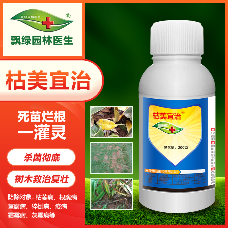 枯美宜治