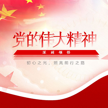 ppt設計黨的偉大精神 黨建學習