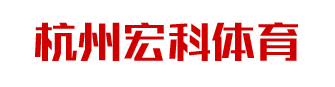 描述