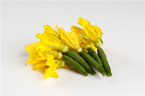 黄瓜花