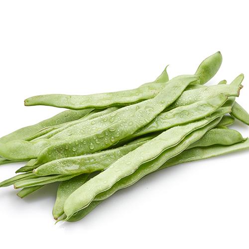 扁豆