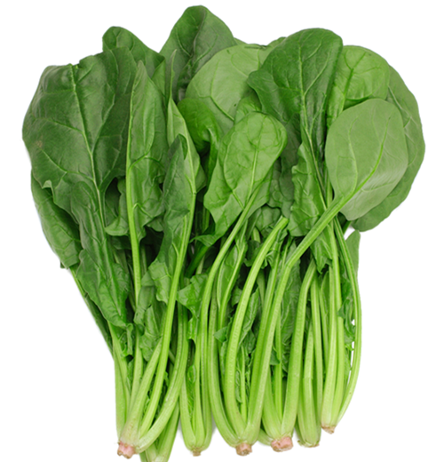 菠菜