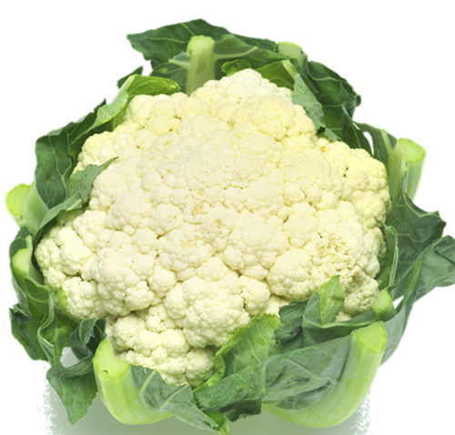 散菜花