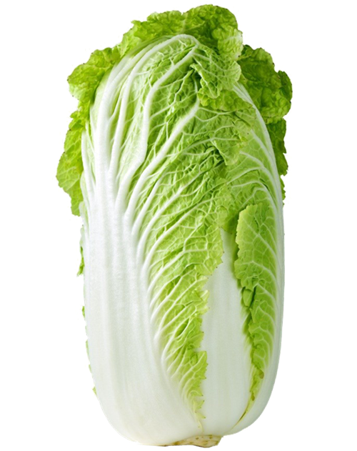 大白菜