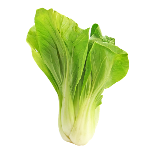 快菜