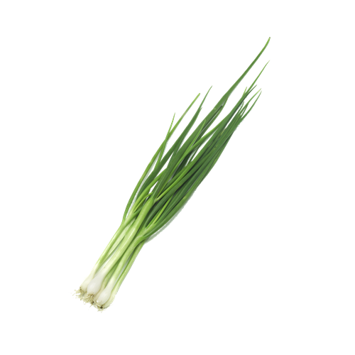 青蒜