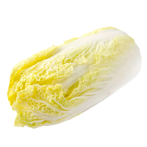 娃娃菜