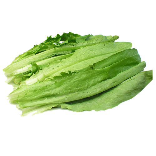 油麦菜